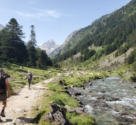 Groupe familial sur un sentier de montagne