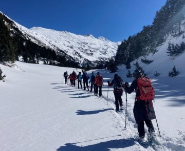 groupe de randonneurs en raquettes qui s'avancent sur un chemin de montagne entouré de montagnes et de forêts