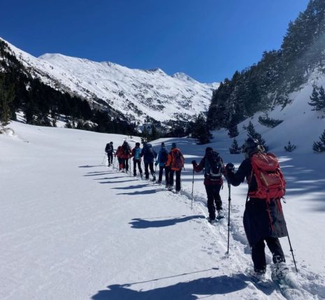 groupe de randonneurs en raquettes qui s'avancent sur un chemin de montagne entouré de montagnes et de forêts