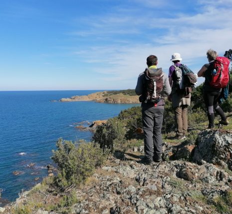 Groupe de randonneurs face à la vue de la mer sur leur chemin de randonnée