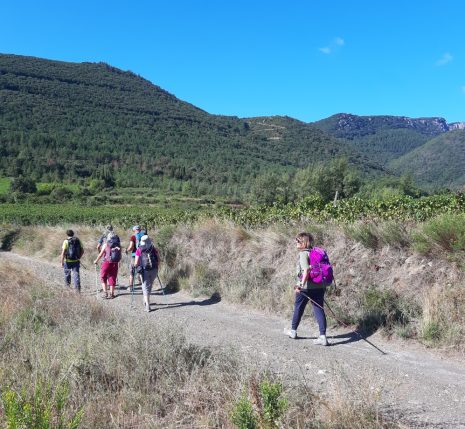 groupe de randonneurs sur un sentier avec un paysage montagnard autour