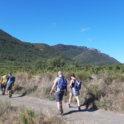 Chemin de randonnée avec un groupe de randonneurs lors d'un séjour libéré, non accompagné, sur le sentier cathare