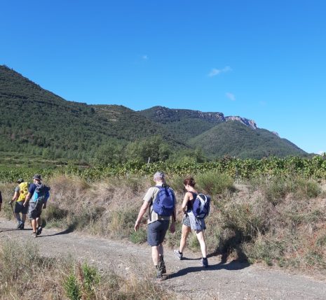 Chemin de randonnée avec un groupe de randonneurs lors d'un séjour libéré, non accompagné, sur le sentier cathare