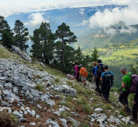 tour-parc-de-la-chartreuse-randonnee tour-parc-de-la-chartreuse-randonnee