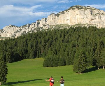 Groupe de randonneurs sur un sentier de randonnée avec en fond des arbres d'une forêt et des sommets en fond