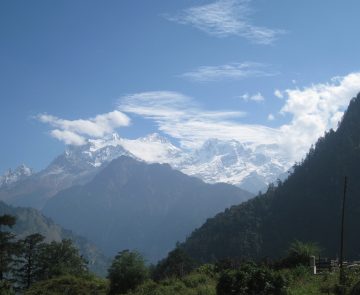 Paysage montagnard avec en fond des sommets enneigés et en premier plan des arbres