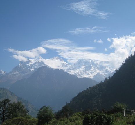 Paysage montagnard avec en fond des sommets enneigés et en premier plan des arbres