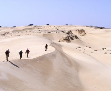 trek-desert-oman-et-plage Dune de sable blanc d'Oman avec un groupe de randonneurs qui marche sur la crête
