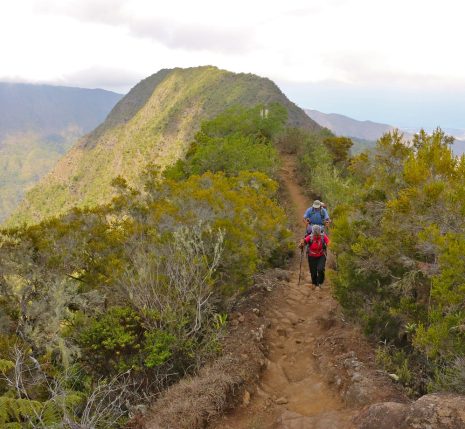 Groupe de randonneurs sur un sentier sur une crête de montagne sans guide