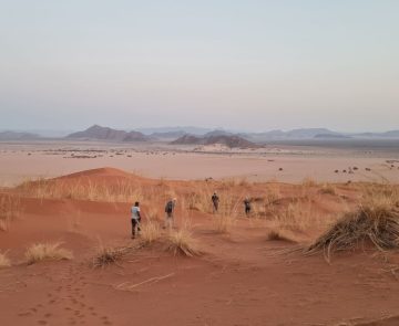 Groupe de randonneur dans le désert du namib