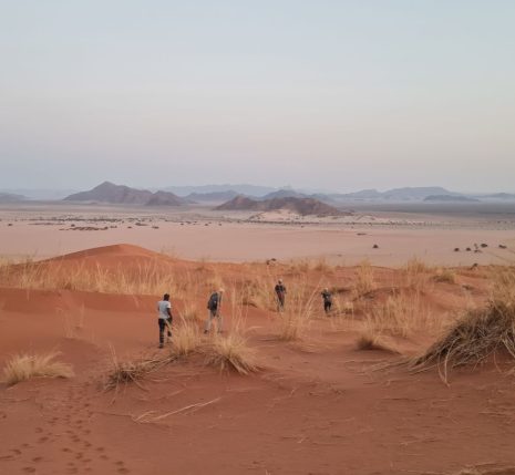 Groupe de randonneur dans le désert du namib