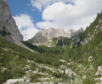 Paysage d'une vallée de montagne encadrée par des sommets, on a de la végétation au premier plan, paysage prenant place en Slovénie dans les Alpes juliennes