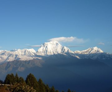 Paysage de montagne avec en fond des sommets enneigés et au premier plan une forêt