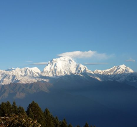Paysage de montagne avec en fond des sommets enneigés et au premier plan une forêt
